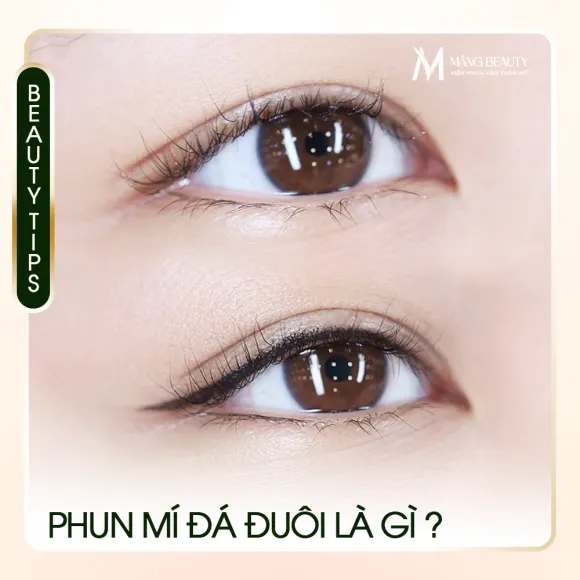Phun mí đá đuôi là gì? Giải đáp tất tần tật về dịch vụ phun mí đá đuôi từ chuyên gia tại Măng Beauty