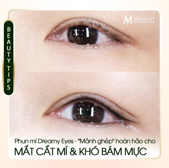 Phun Mí Dreamy Eyes: "Mảnh Ghép" Hoàn Hảo Cho Đôi Mắt Cắt Mí & Cơ Địa Khó Bám Mực