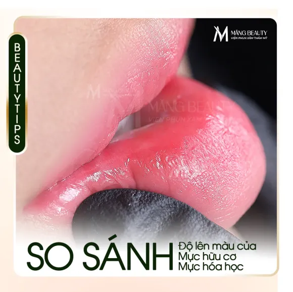 Tại sao mực hữu cơ giúp phun môi lên màu chuẩn hơn mực hóa học?